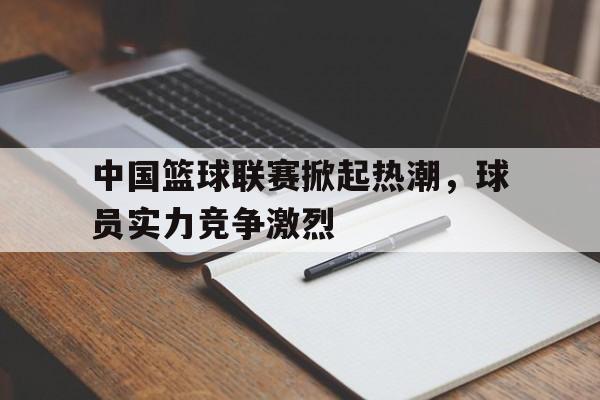 中国国内篮球联赛